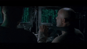 SaltyDeafeningCuscus-max-1mb.gif