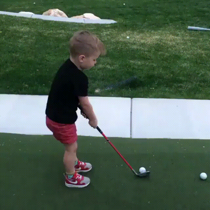 sam.gif