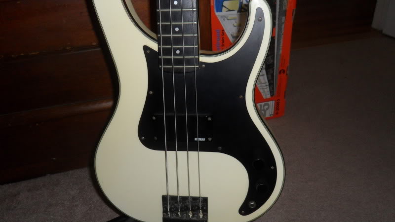 SAM_1670.jpg