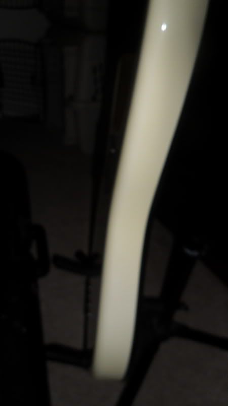 SAM_1678.jpg