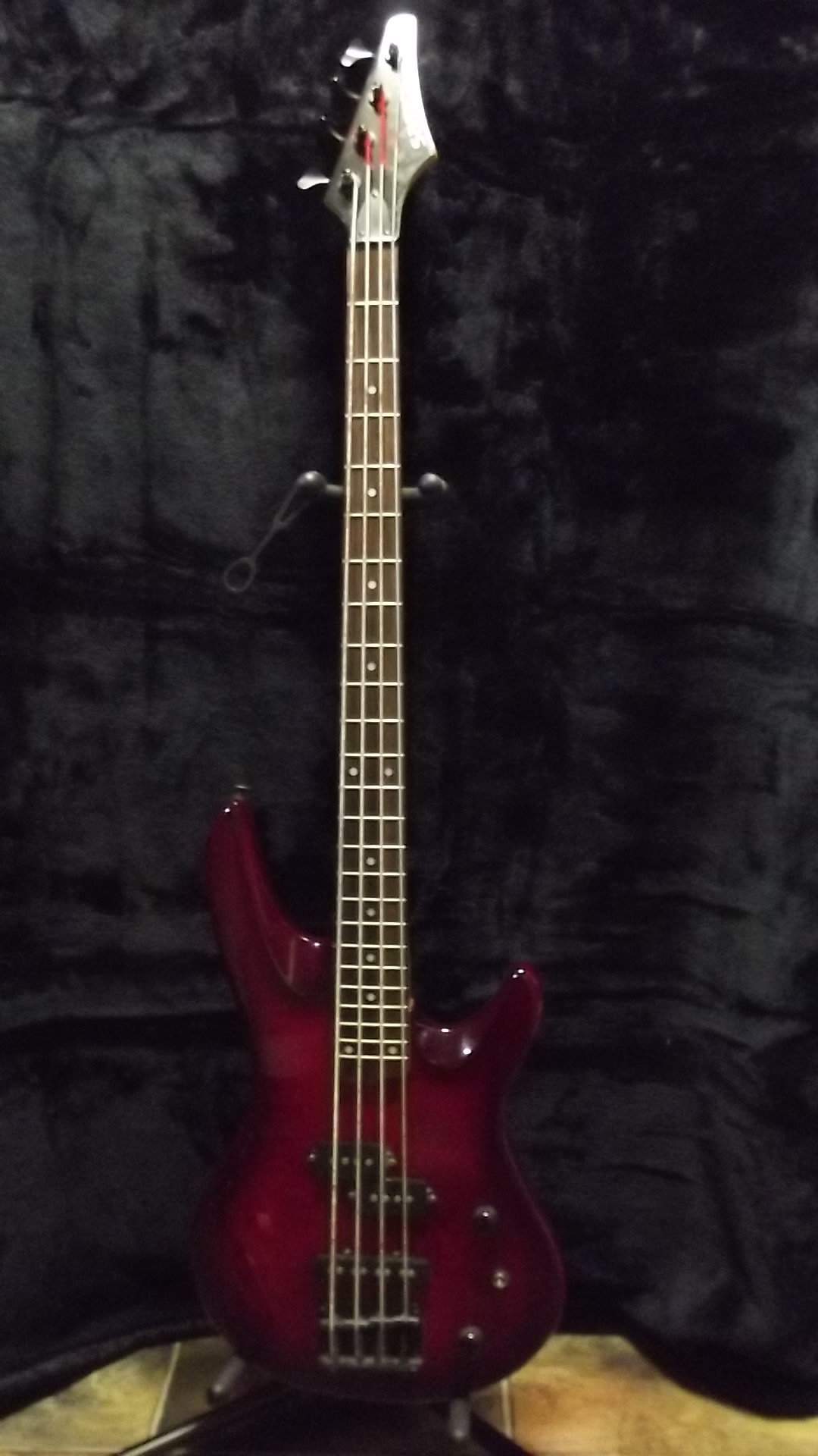 Samick Artisit Series.JPG
