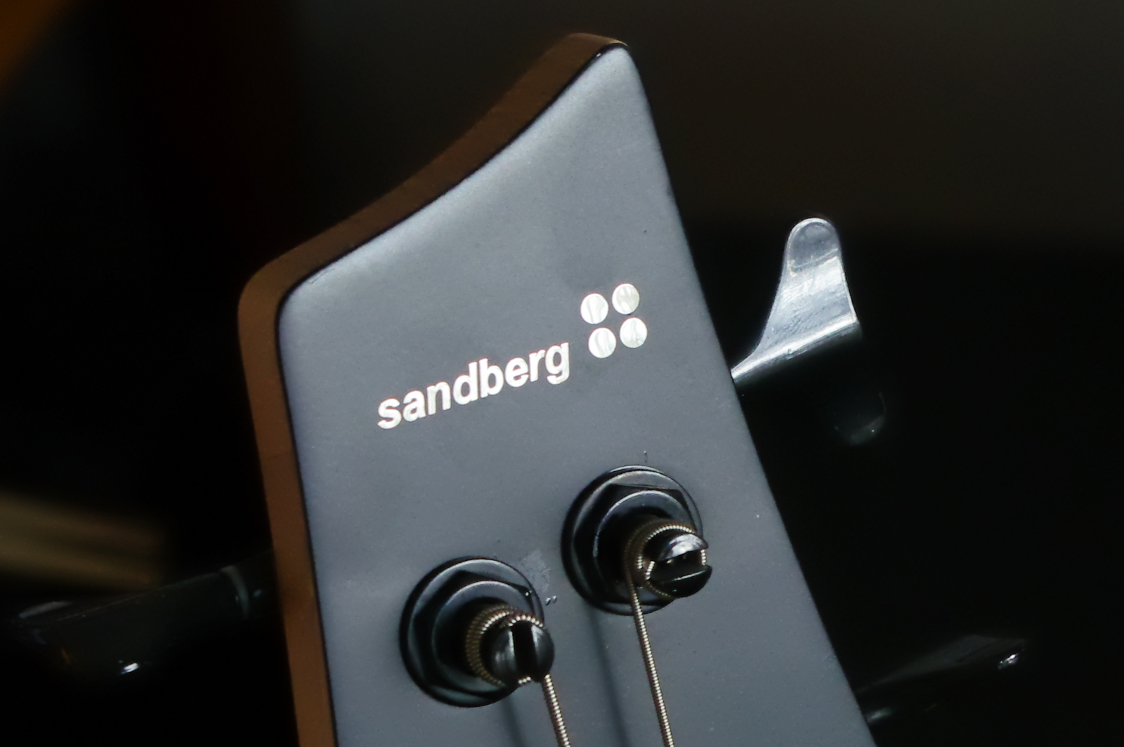 sandberg-crop.jpg