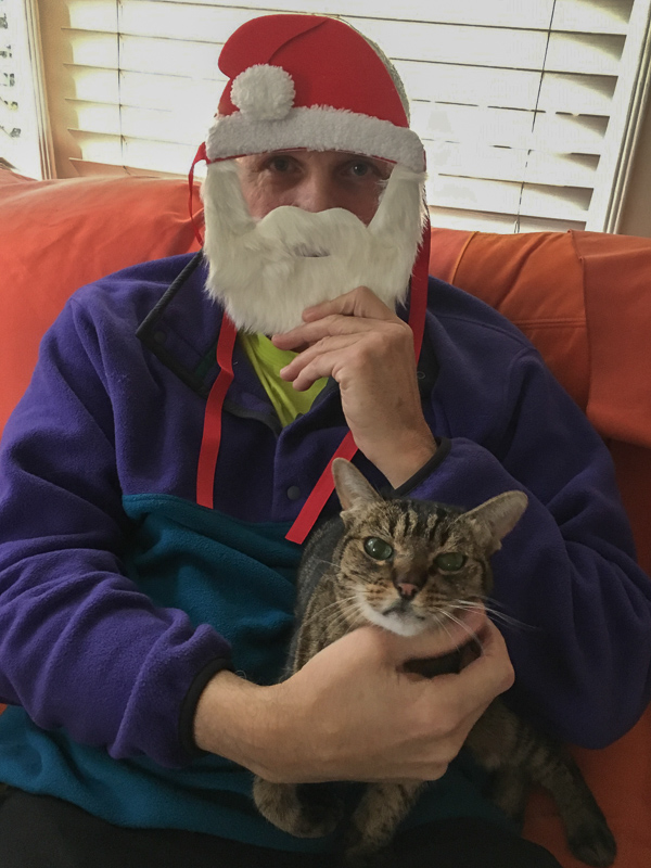 santacat.jpg