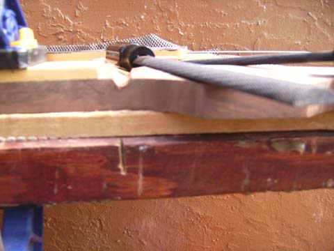 SANY0010.jpg