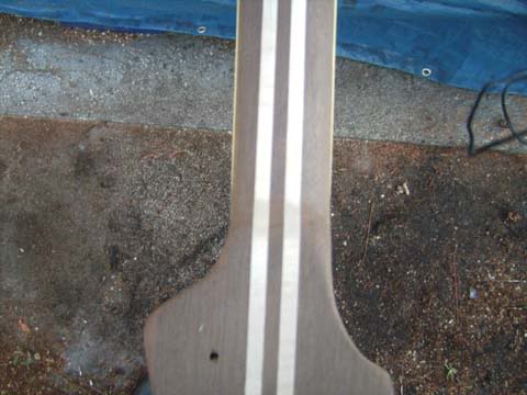 SANY0019.jpg