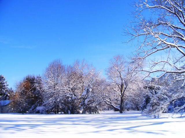 SANY0022a.jpg