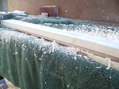 SANY0037.jpg