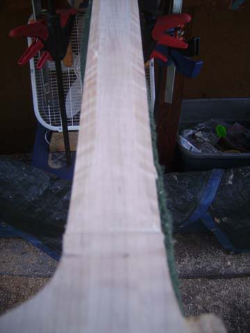 SANY0039.jpg