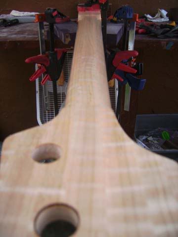 SANY0045.jpg