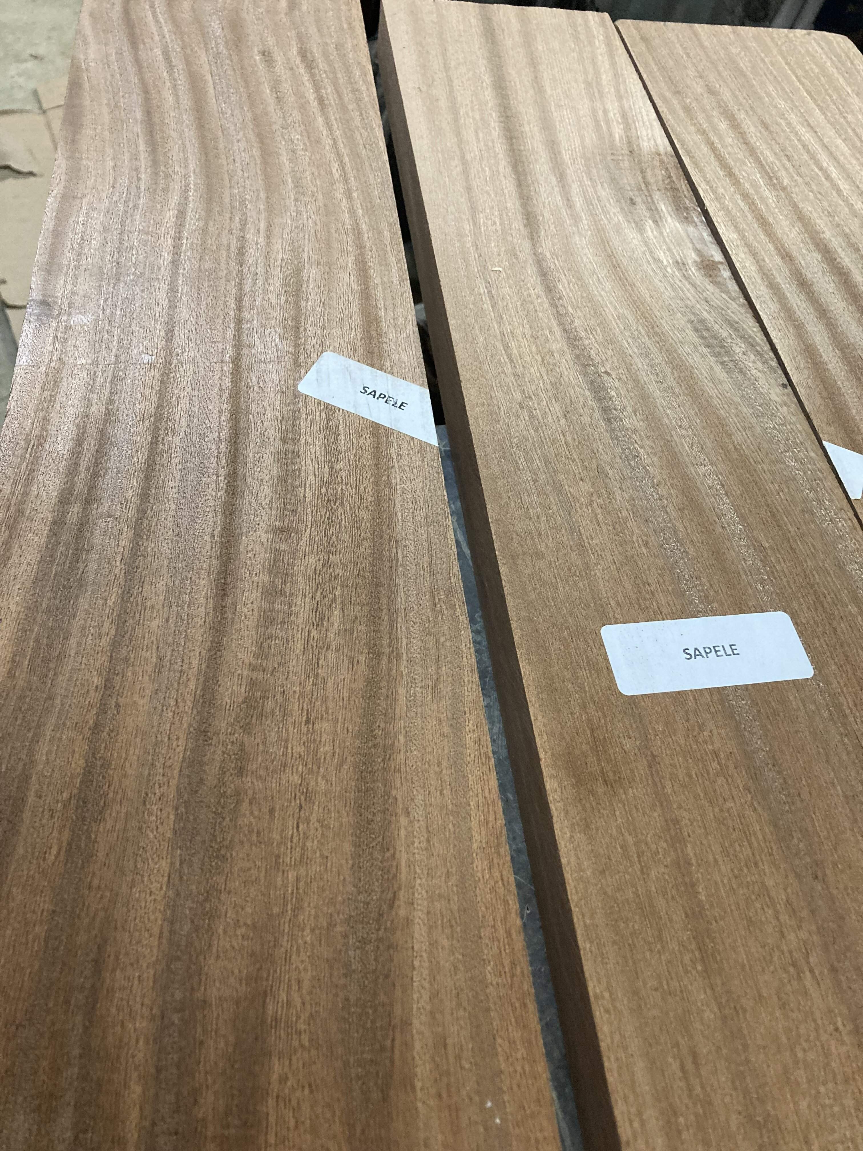 sapele 2 (1).JPG