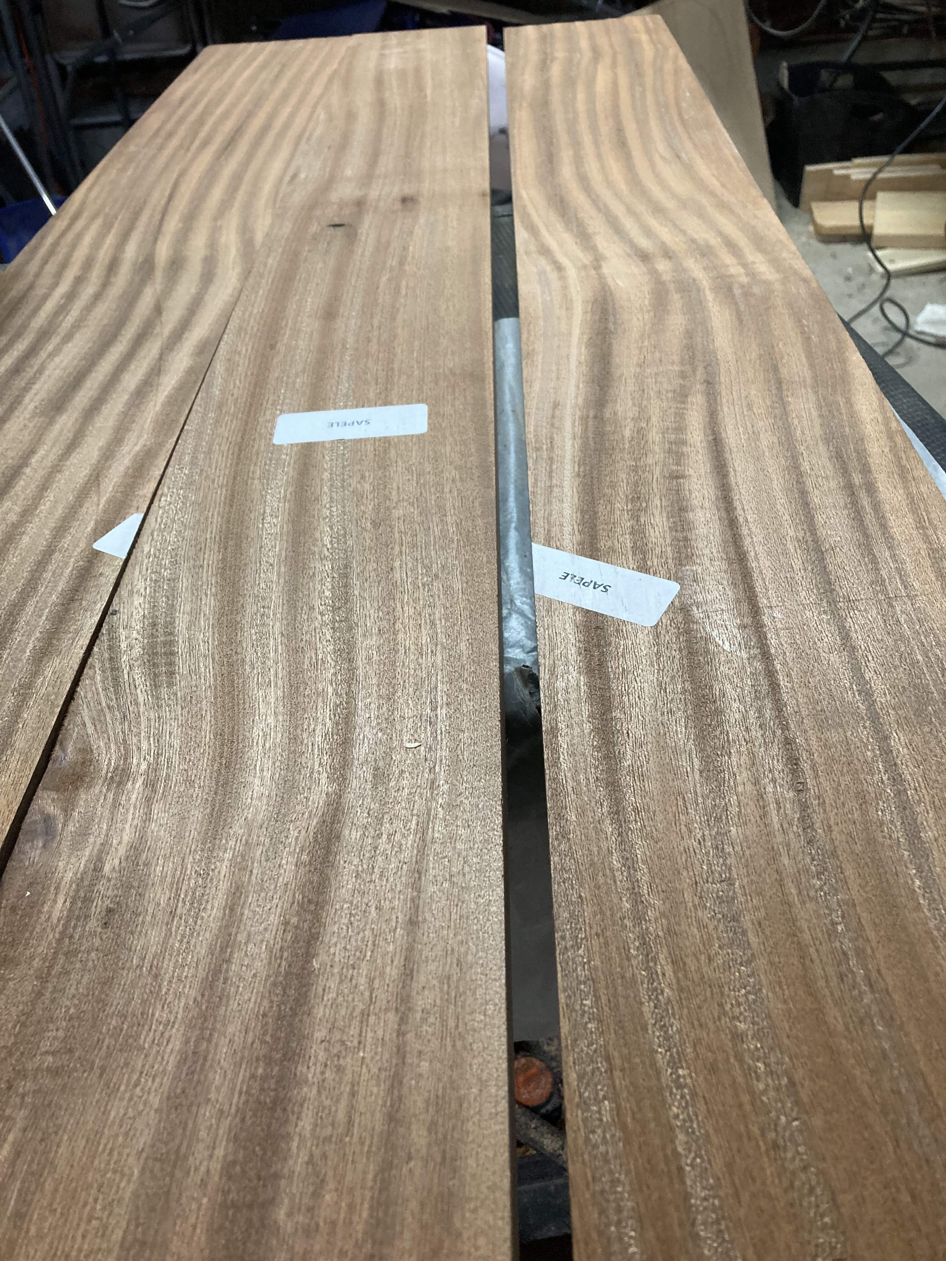 sapele 2 (2).JPG