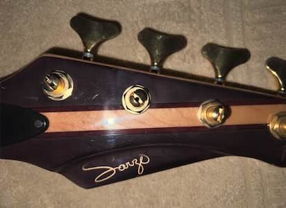 sarzo.jpg