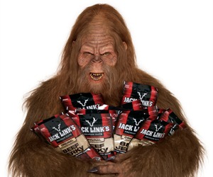 SasquatchHR1.jpg