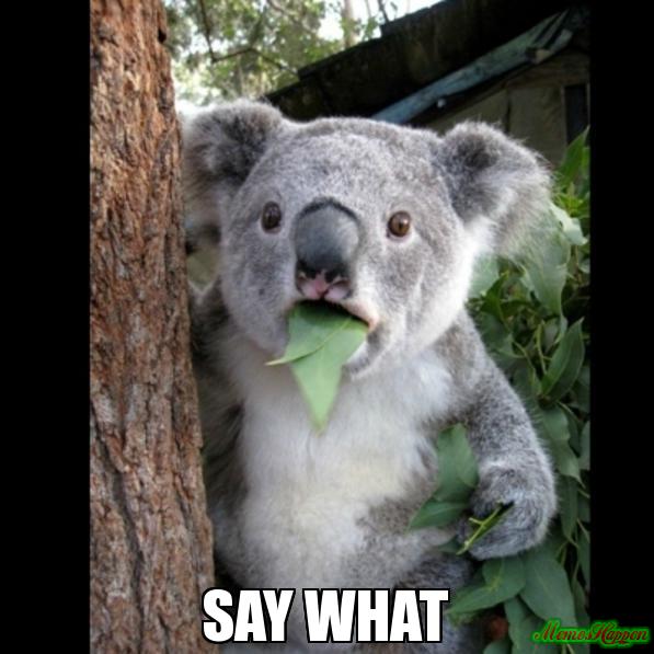 -SAY-WHAT-meme-177.jpg