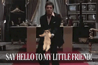 say_hello.gif