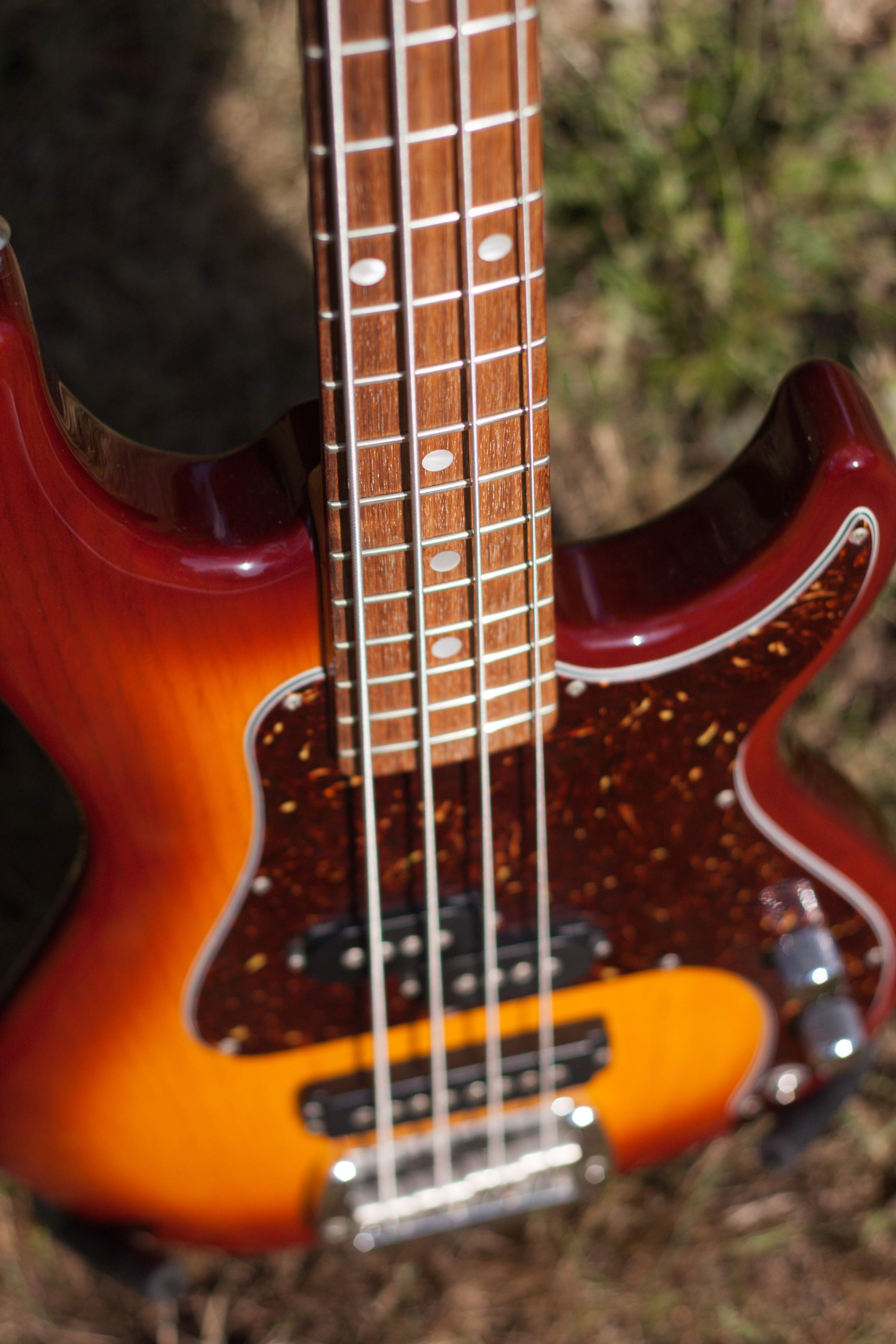 SB-2 closeup.jpg