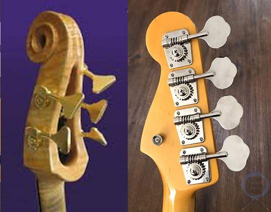 SB headstock.jpg