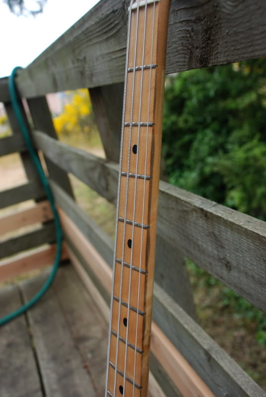 sb2neck-1.jpg