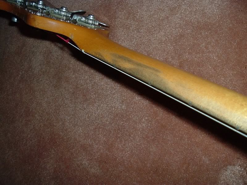 sb2neck.jpg