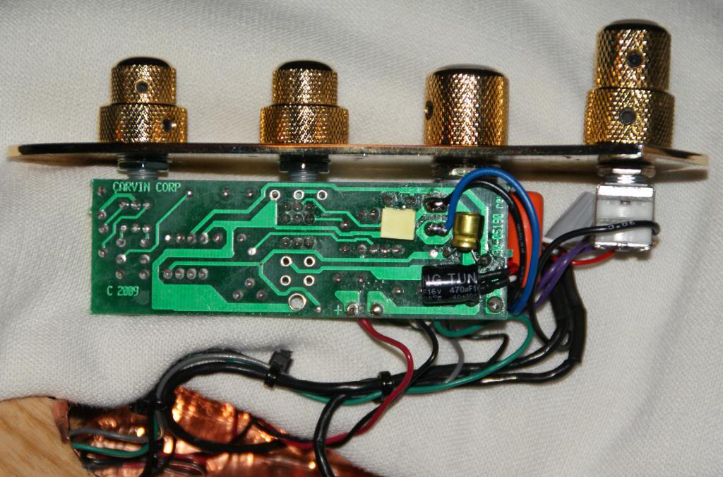 SBGuts1_zps8edae70f.jpg