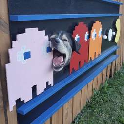 scale;jpeg_quality=65.jpg