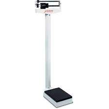 scale.jpg