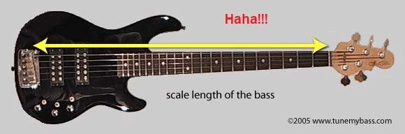 scale_length.jpg