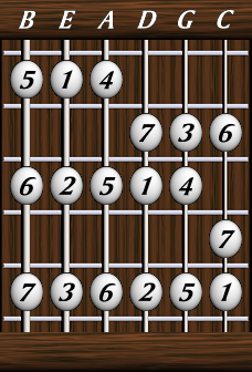 scales-major-ionian-pattern5.png