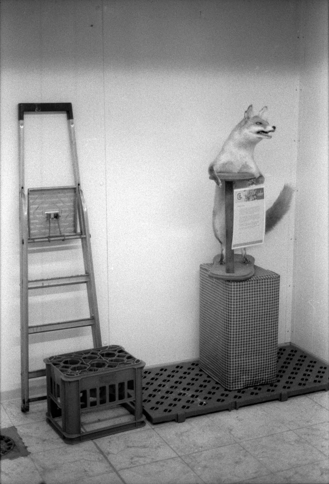 Scan-101017-0003msk.jpg