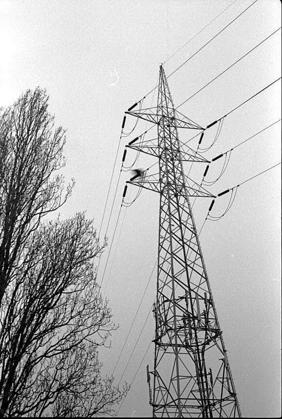 Scan-110117-0001%2B%252B.jpg