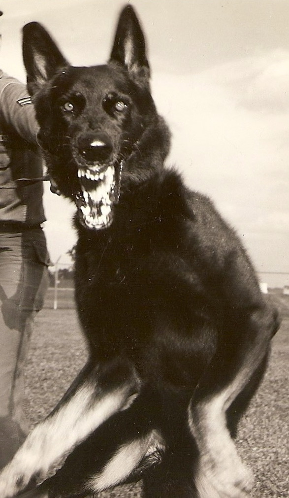 scan-3-jpg.5455903