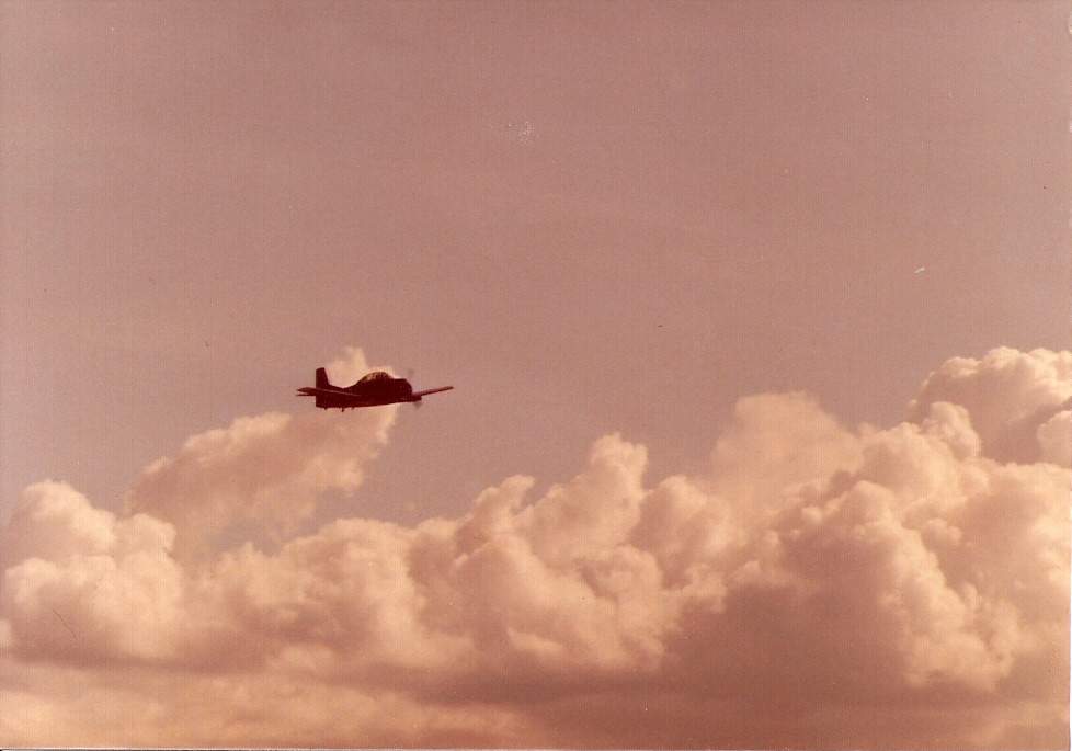 scan0010.jpg