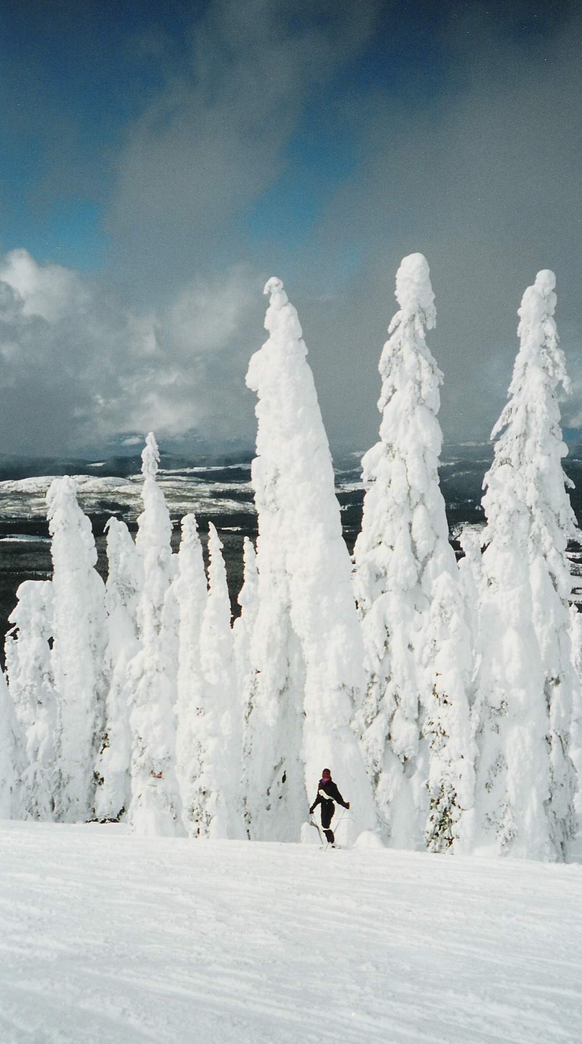 scan02.jpg