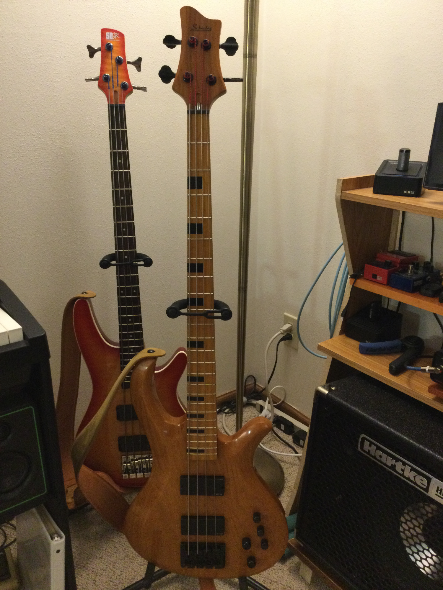 schecter-1.png