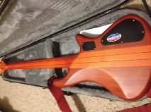 schecter 2.jpg