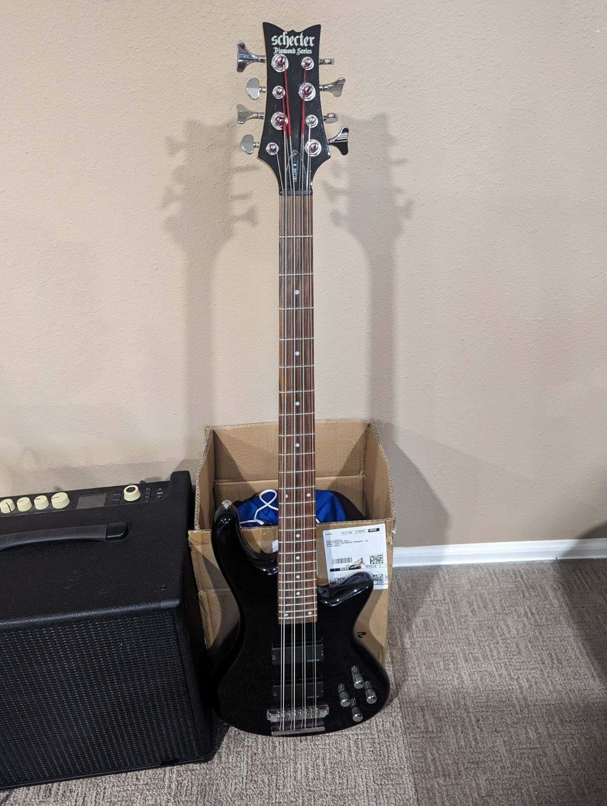 Schecter 8.jpg