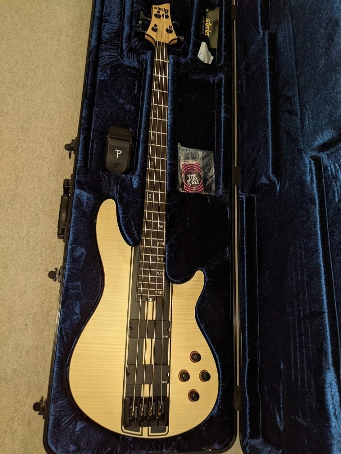 Schecter C4 GT case.jpg