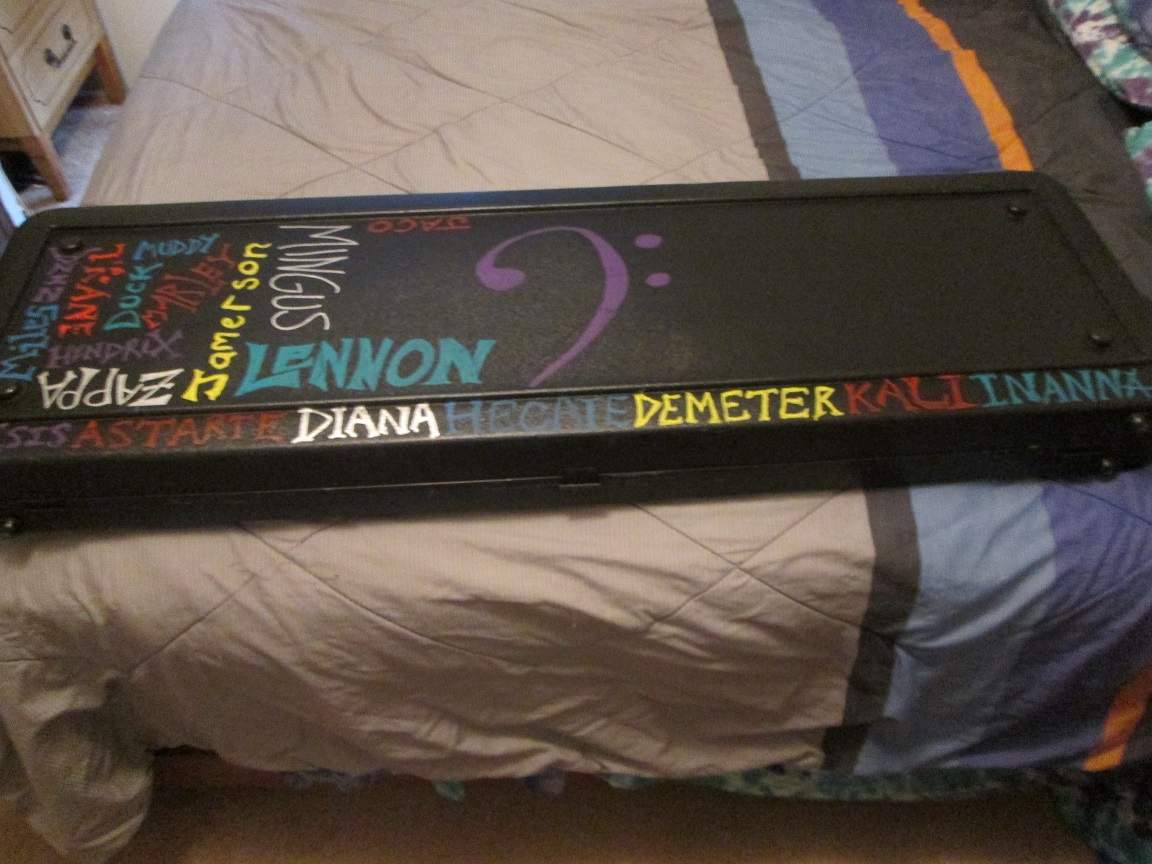 Schecter case back.JPG