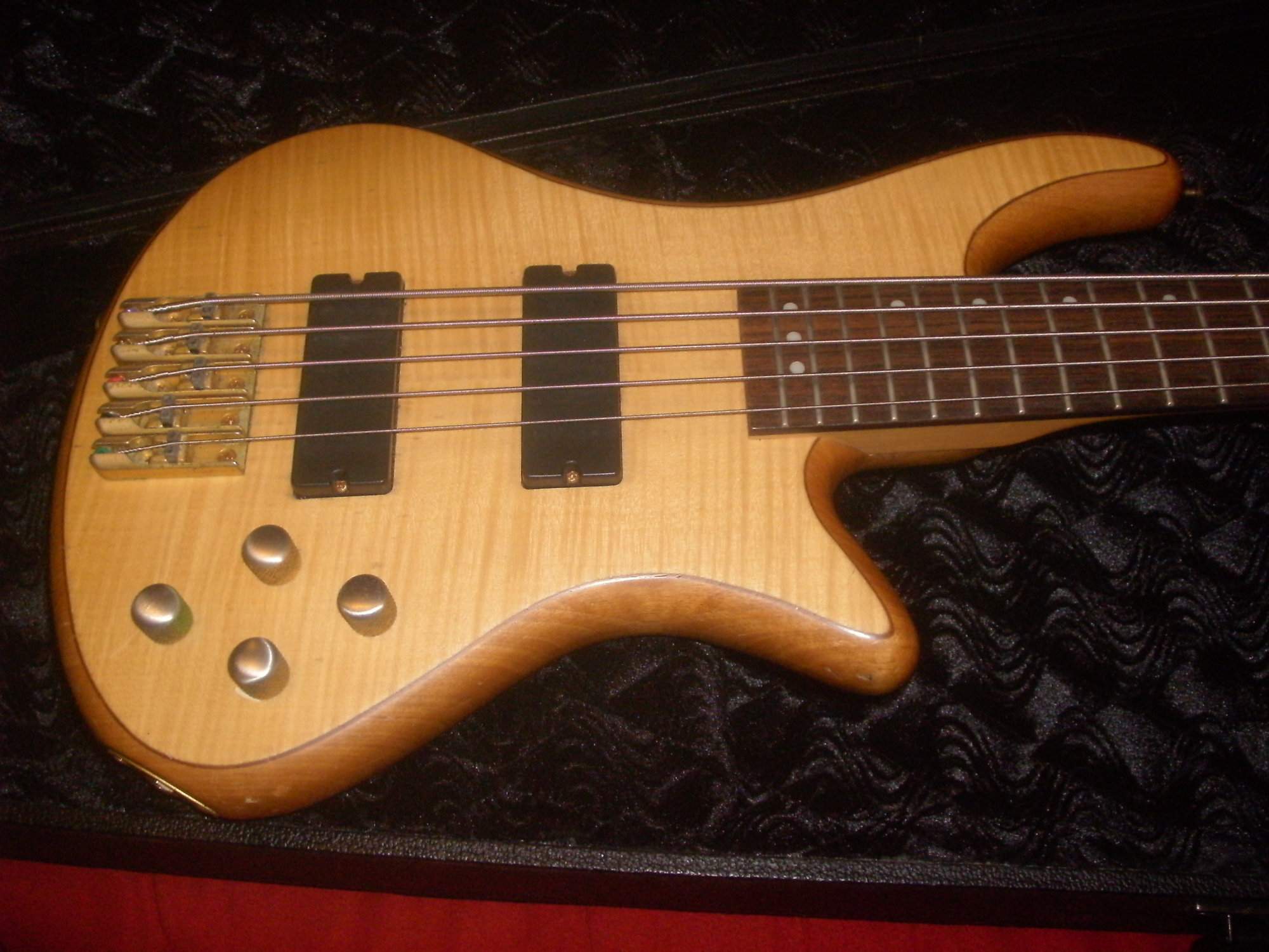 Schecter Custom 5 (6).JPG