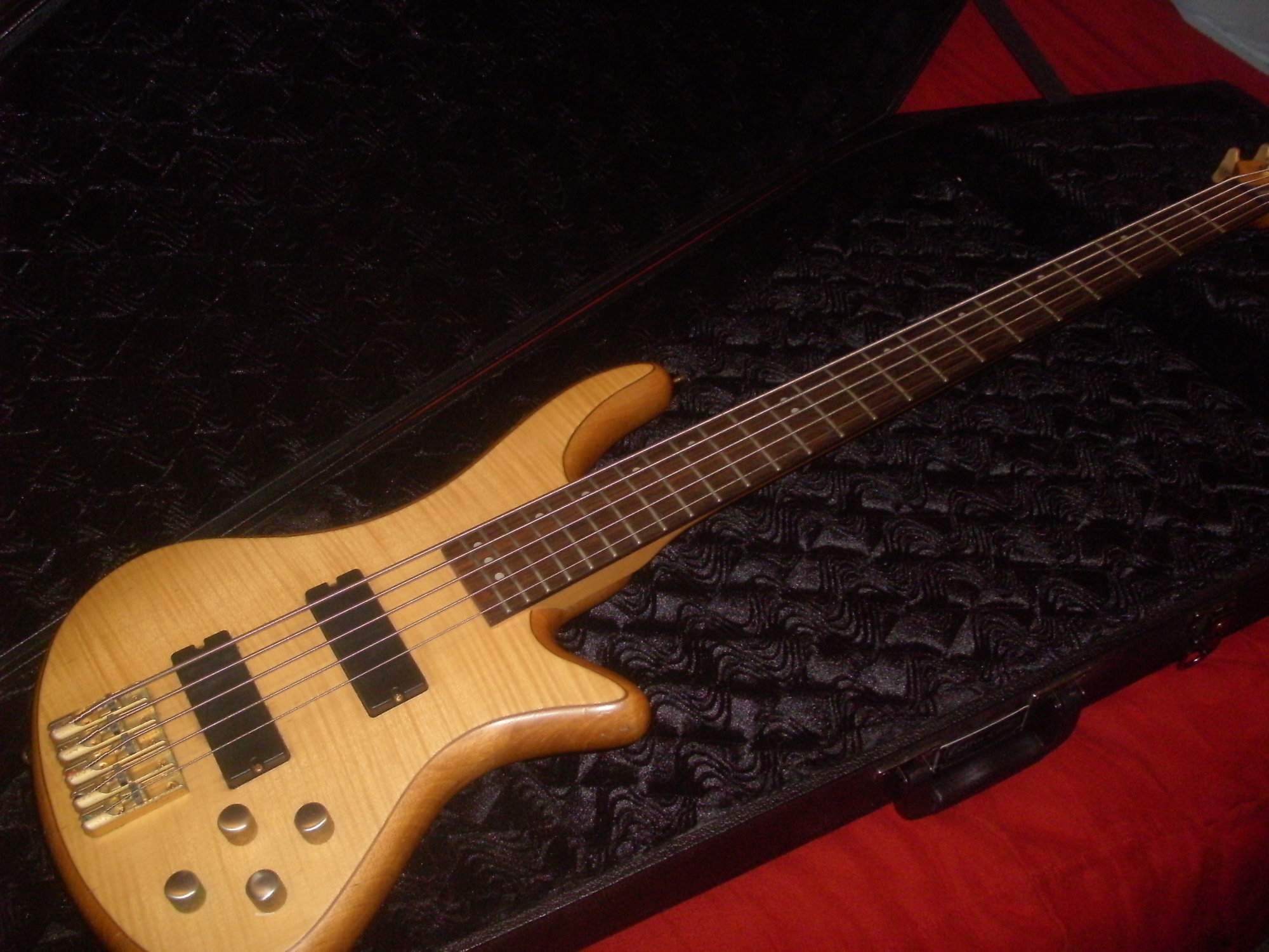 Schecter Custom 5 (7).JPG