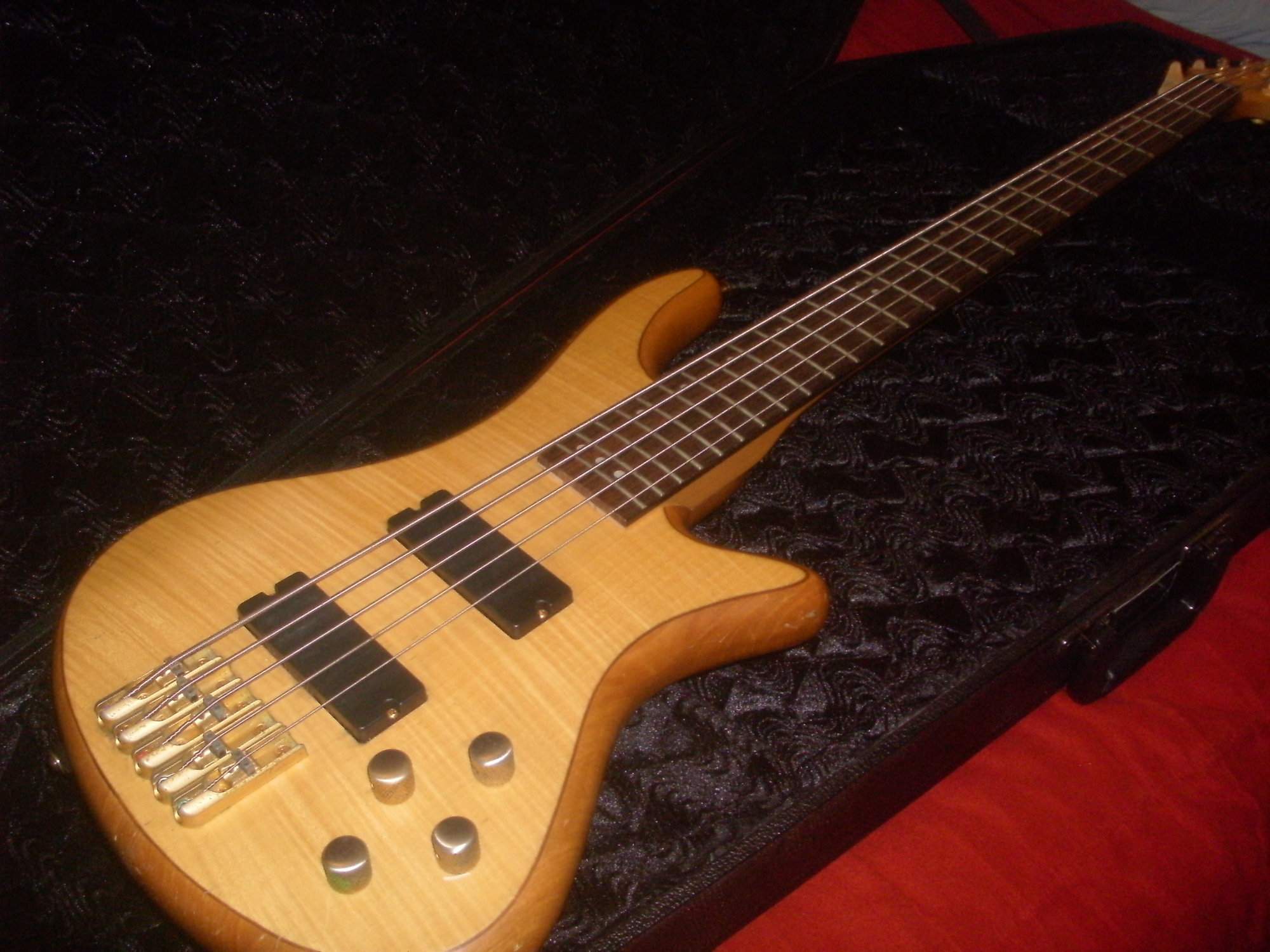 Schecter Custom 5 (8).JPG