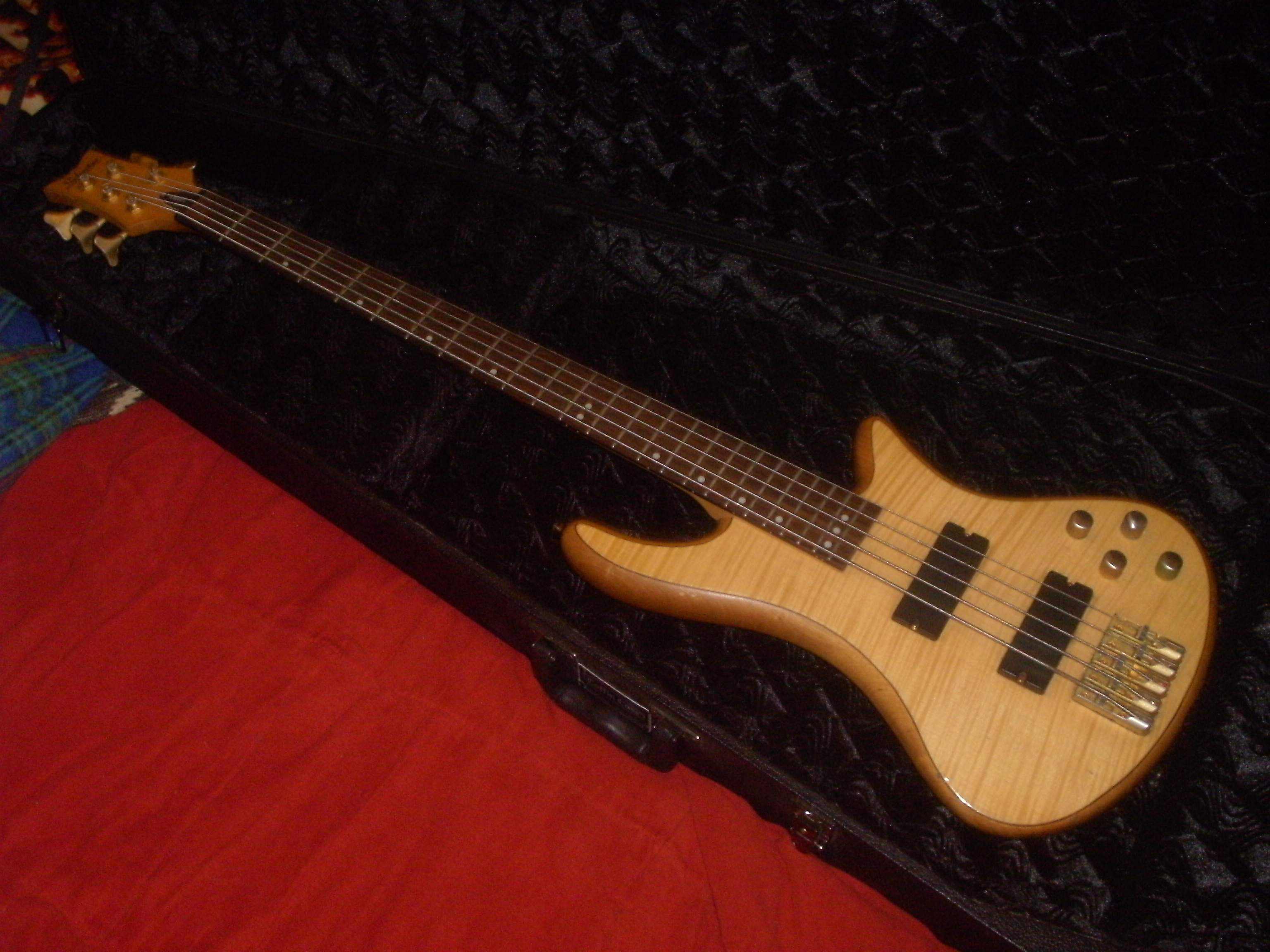 Schecter Custom 5 (9).JPG