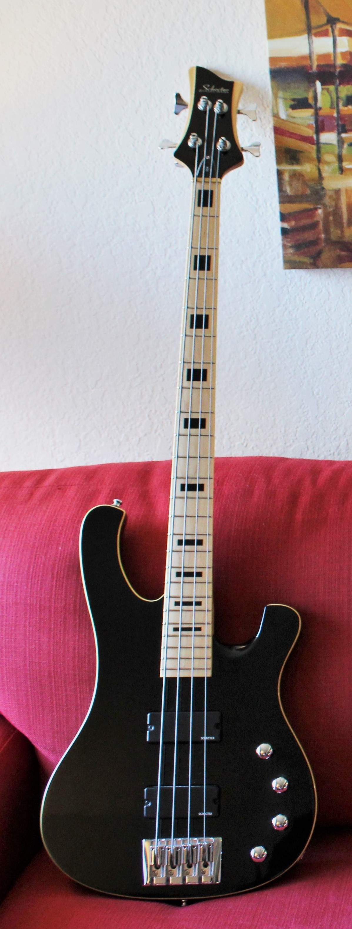 schecter family (2).JPG
