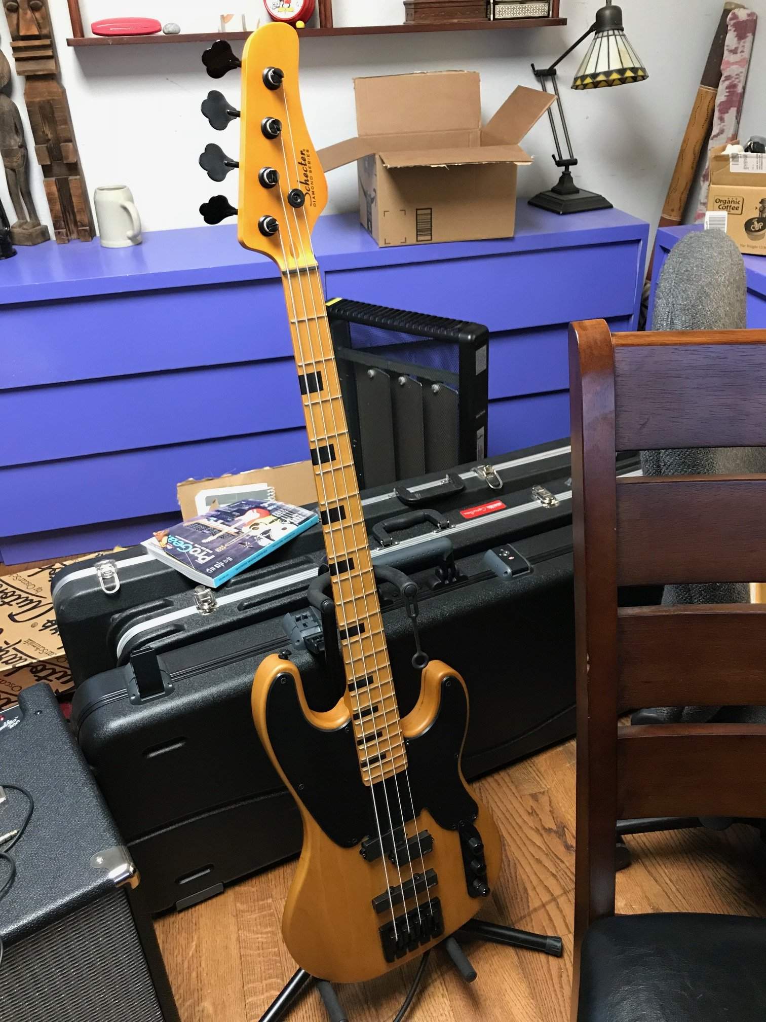 schecter.jpg