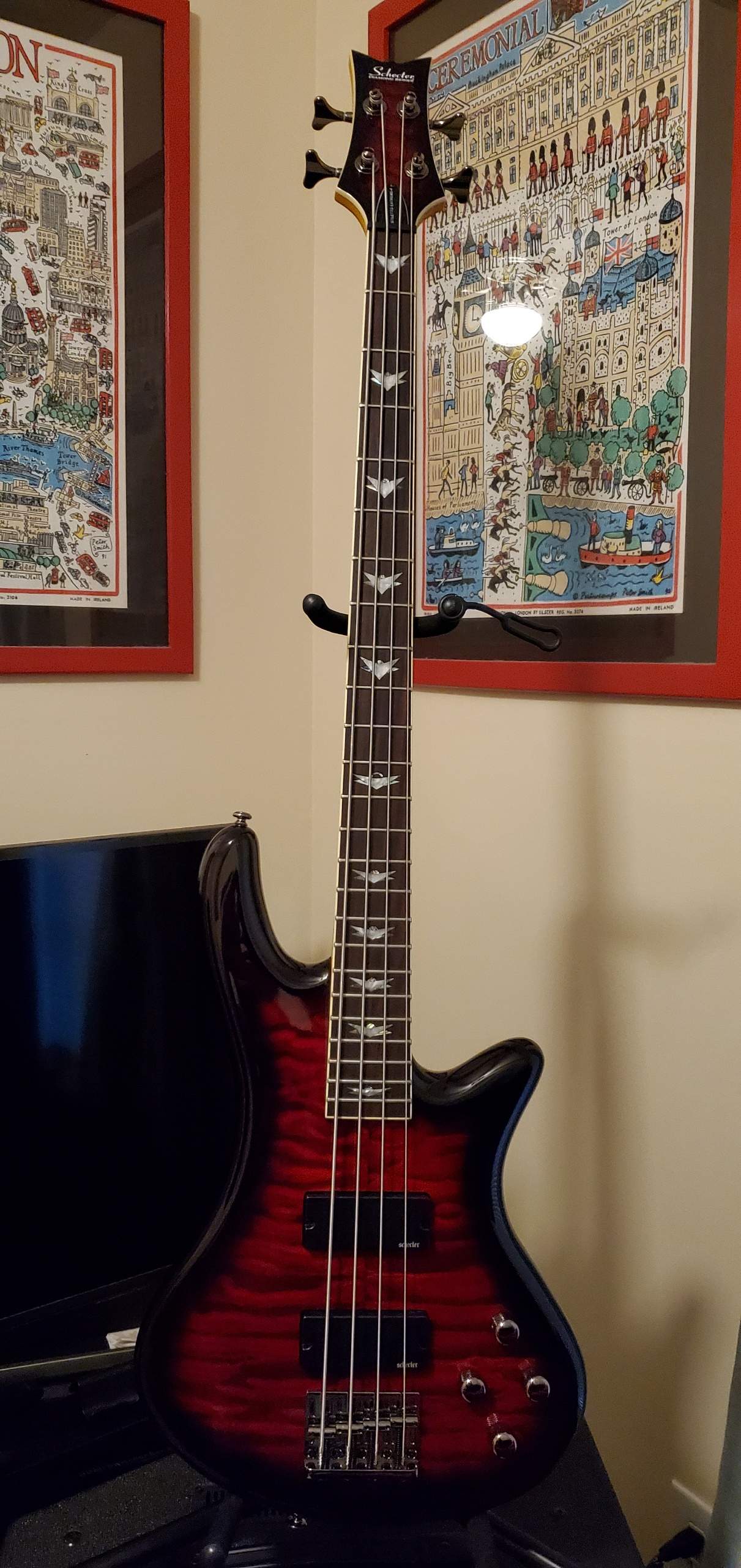 Schecter SE.jpeg