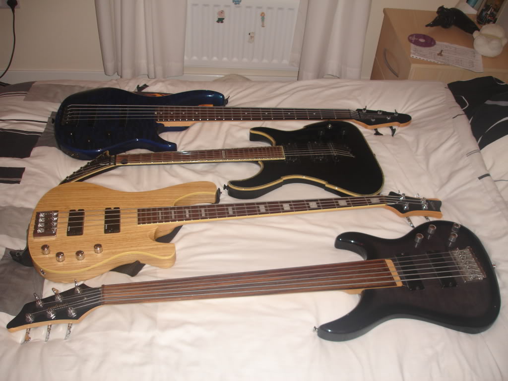 Schecter004.jpg