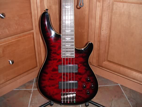 Schecter1-1.jpg