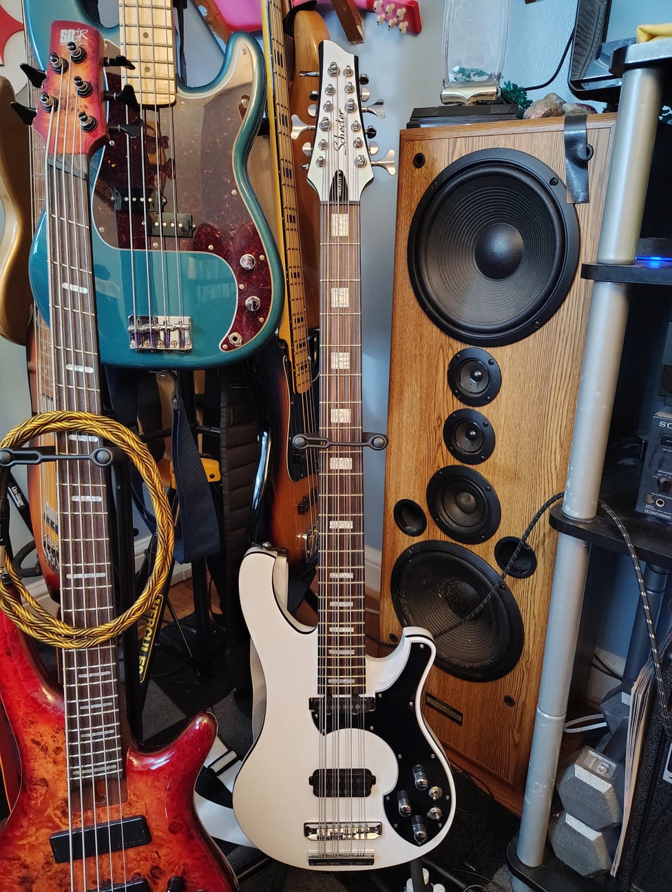 schecter12b.jpg