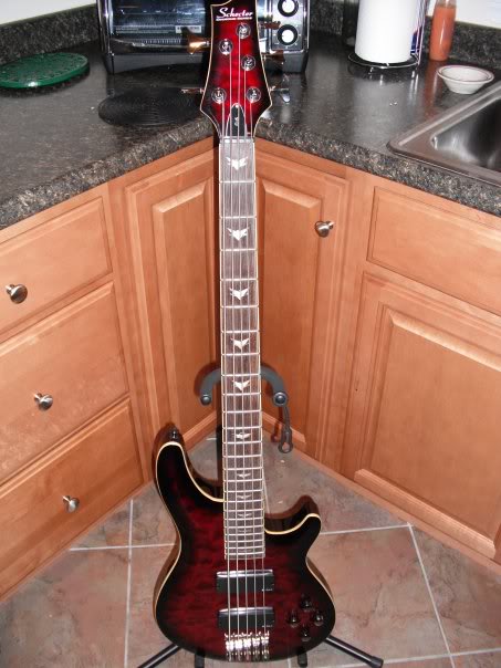 Schecter3-1.jpg
