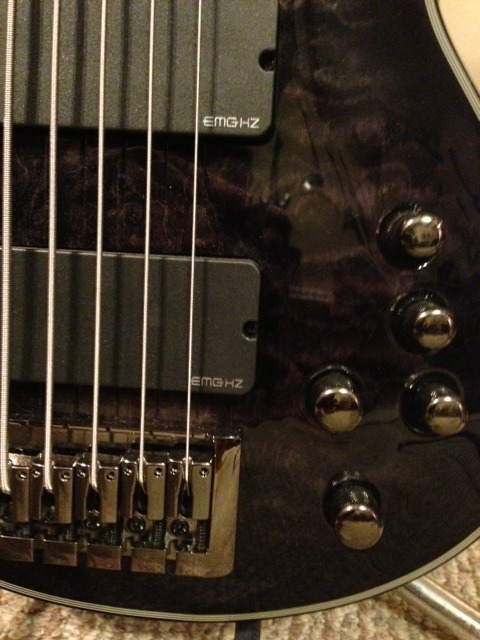 schecter3.jpg